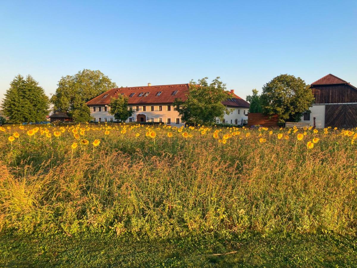 Fruehstueckspension Herzog Zu Laah Ansfelden Exterior photo